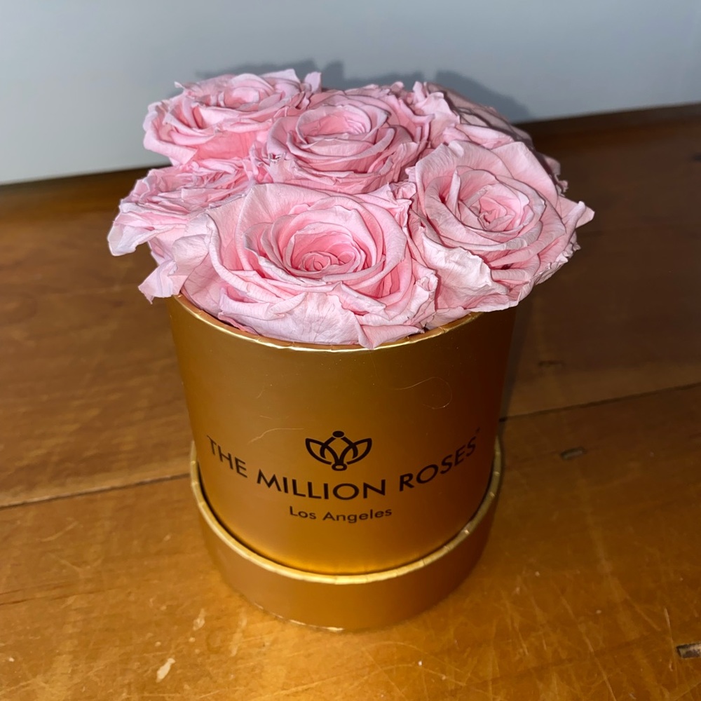 The Million Roses - Preserved Pink Rose Display